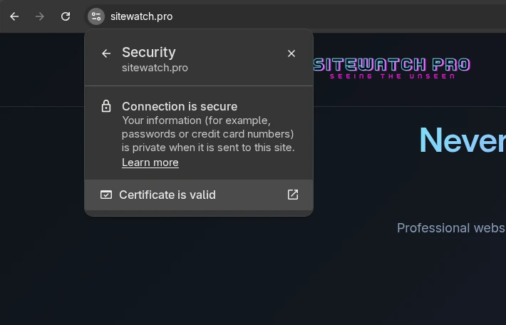 Browser Security Details