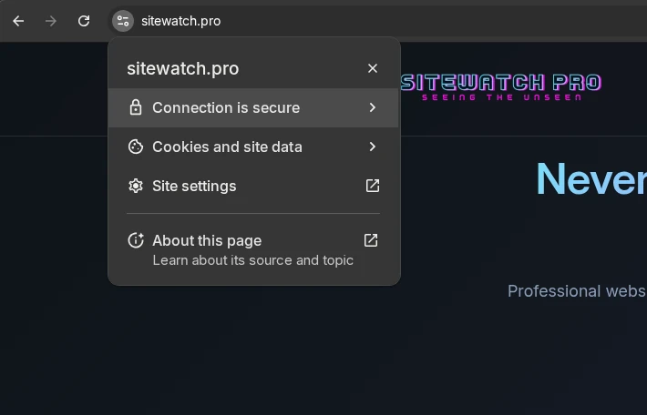 Browser Security Icon