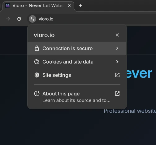 Browser Security Icon